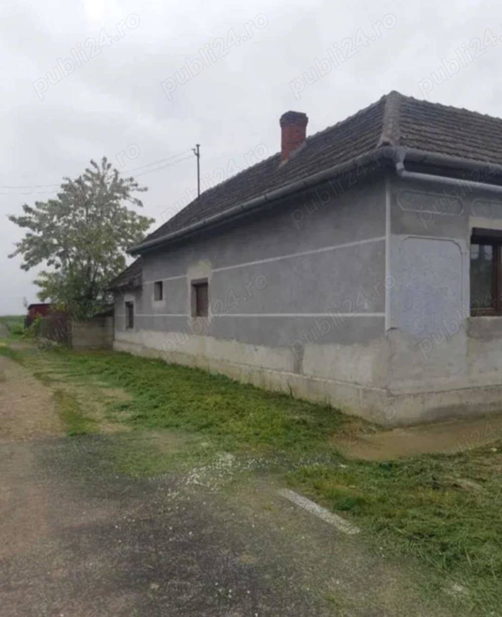 Vind casa si teren Variașu Mare Arad 