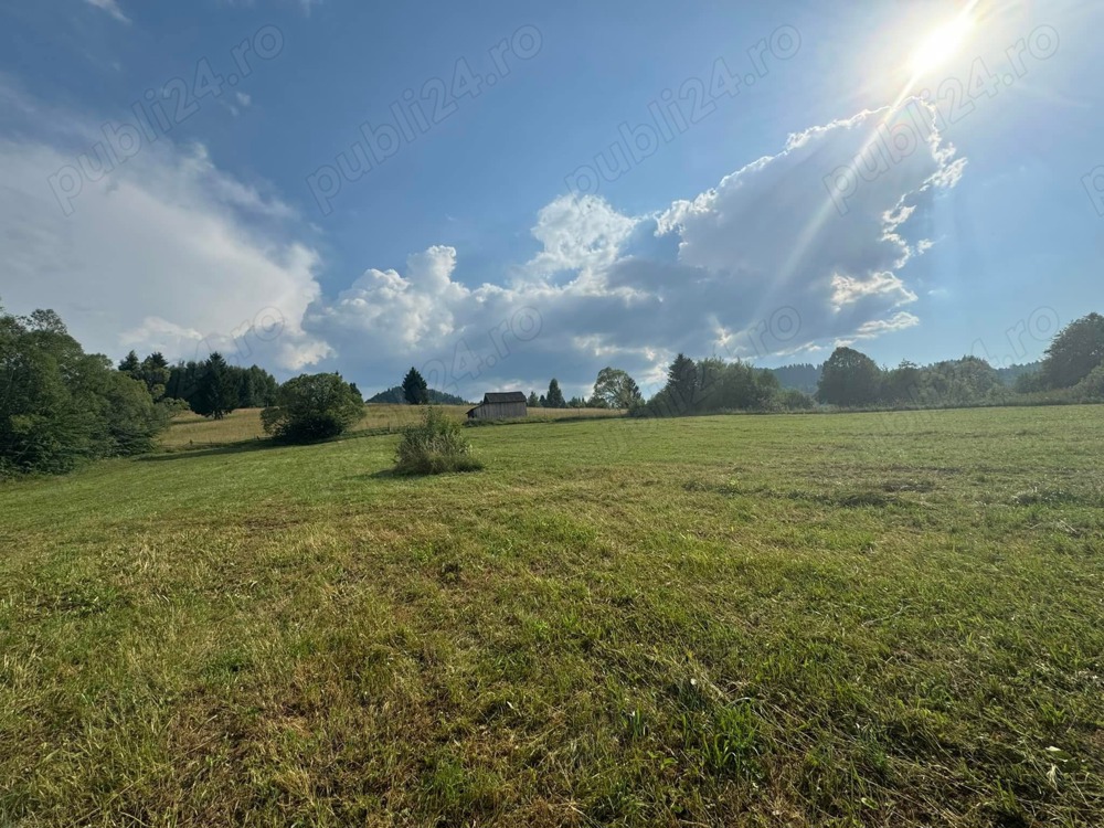 Vând teren extravilan in Câmpulung Moldovenesc 