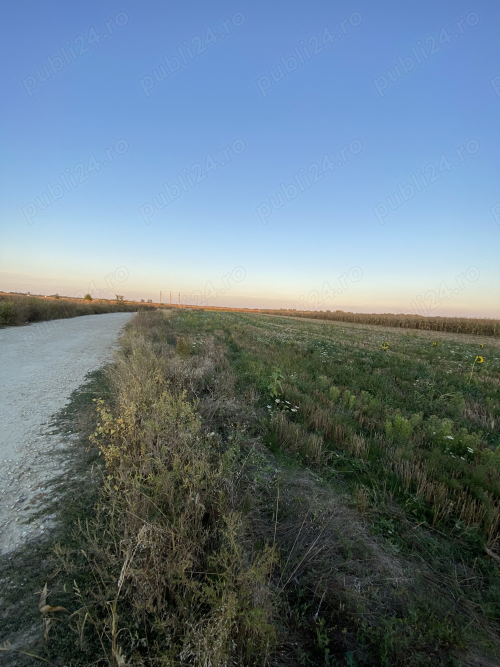 Teren de vanzare Intravilan in Floresti - Stoenesti 4500mp