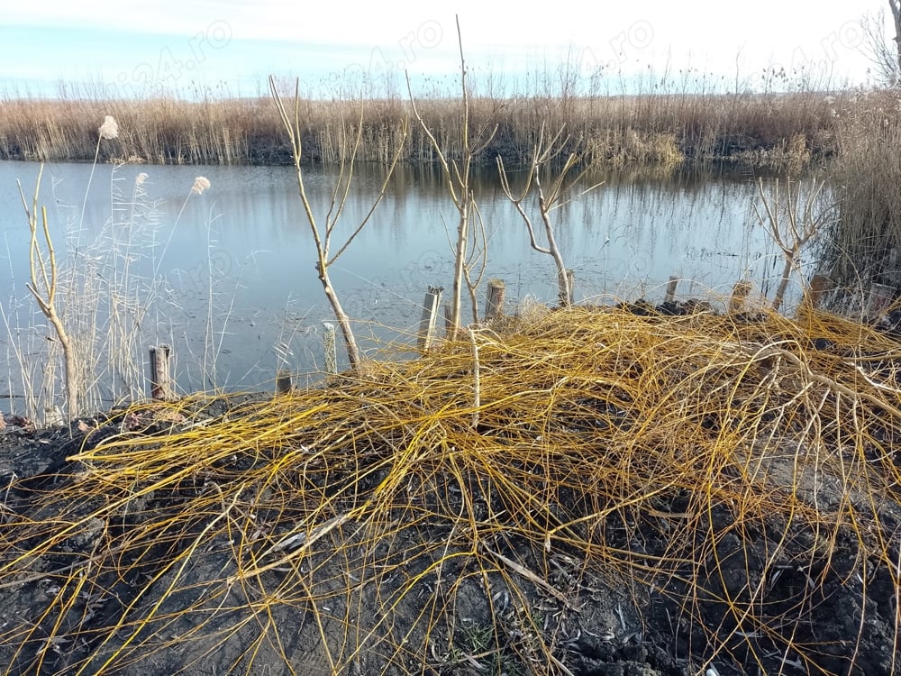 vand casa cu teren delta dunarii