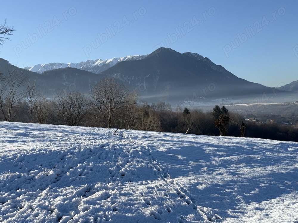 Teren intravilan intre 500 si 1000 mp cu vedere panoramica in zona Bran Tohanita