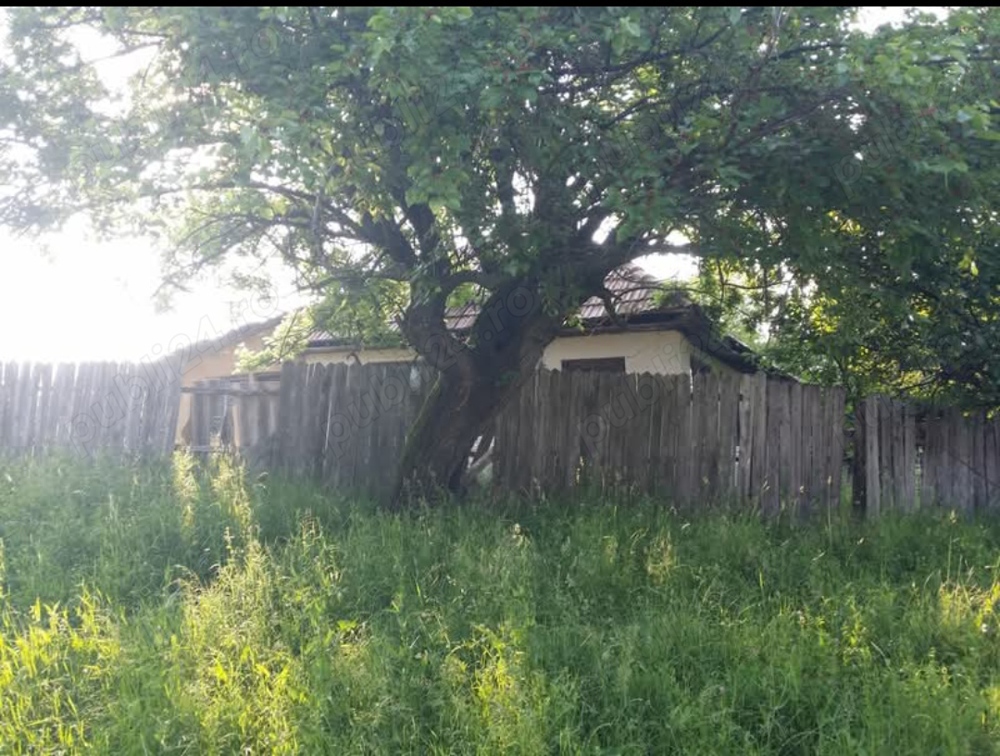 Vand casa cu teren intravilan pentru constructie alaturat