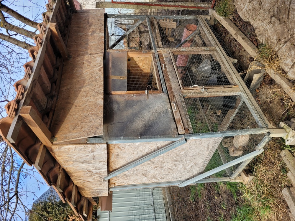 Cotet cu tarc gaini sau pui de carne 