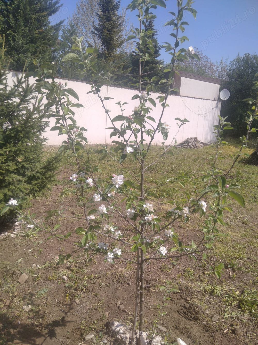 Propietar vand teren  500m2 Prelungirea ghencea bucuresti