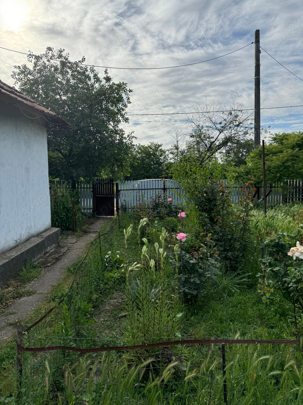 Casa de vanzare comuna Vlad Tepes Calarasi