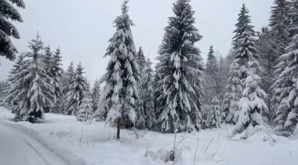 Teren 500mp intravilan Colibita, cu utilitati 