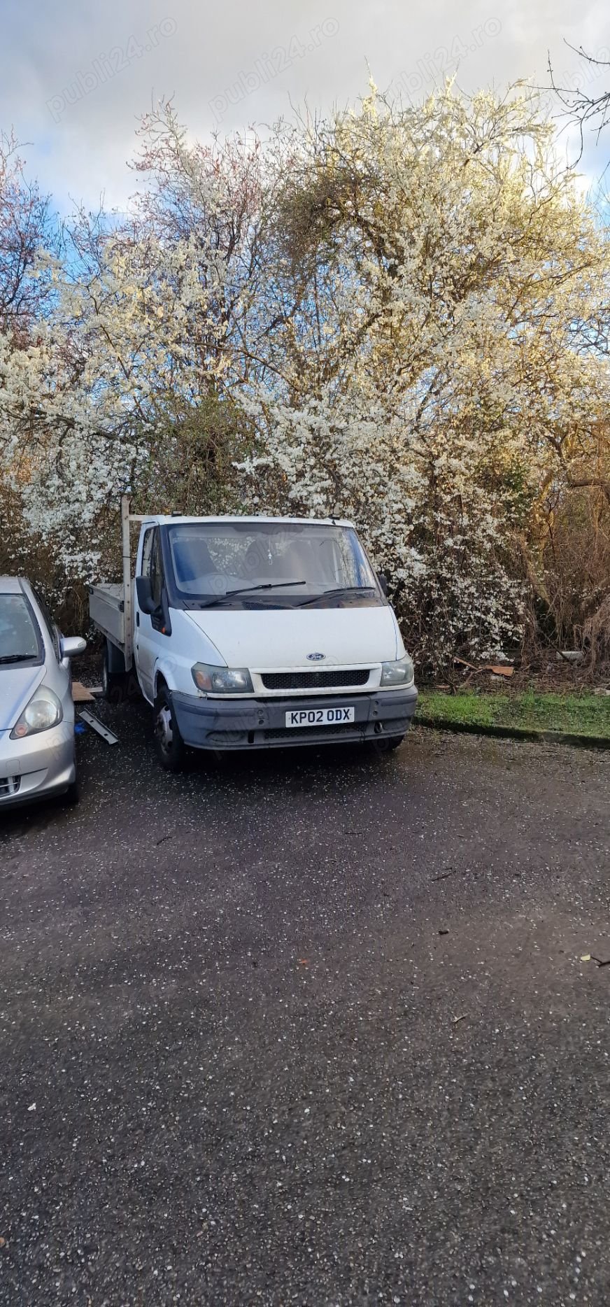 Ford Transit Iveco Daily