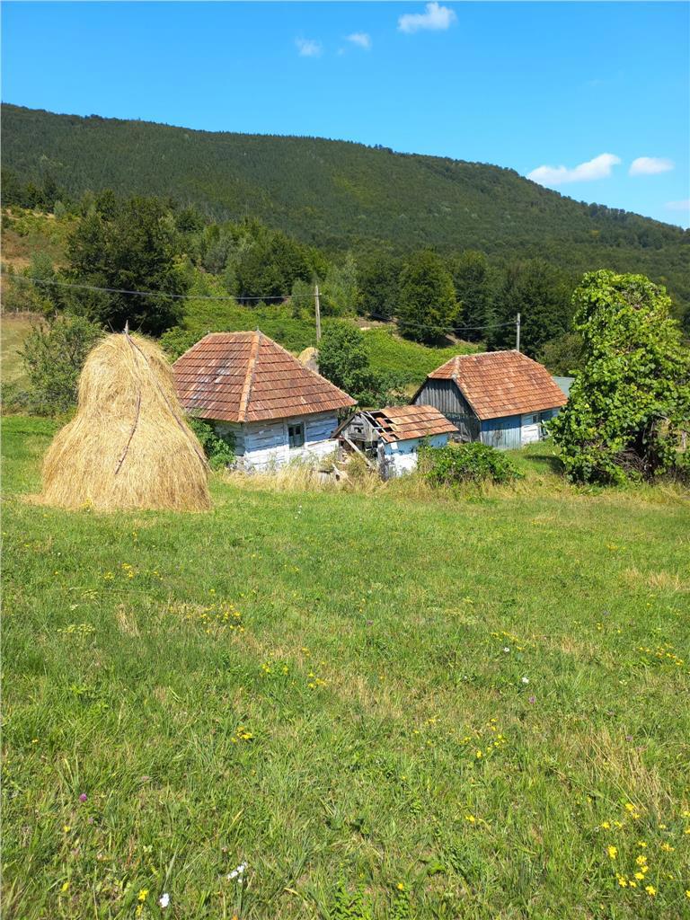 Teren intravilan,cu panorama,Ponoara,Bratca,Bihor