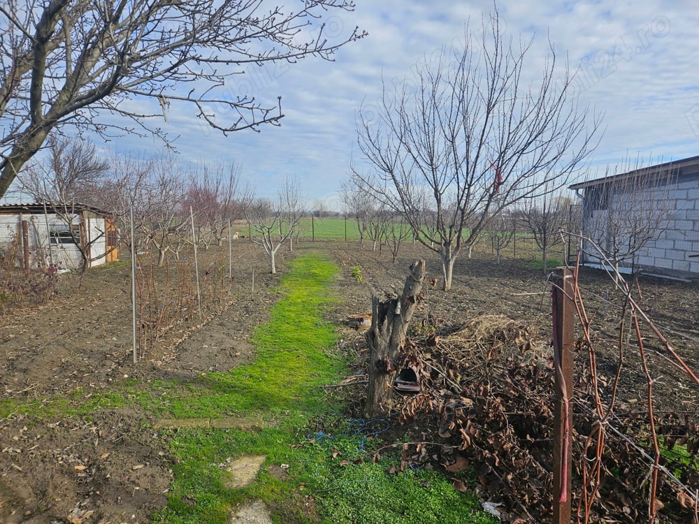 Teren cu casă