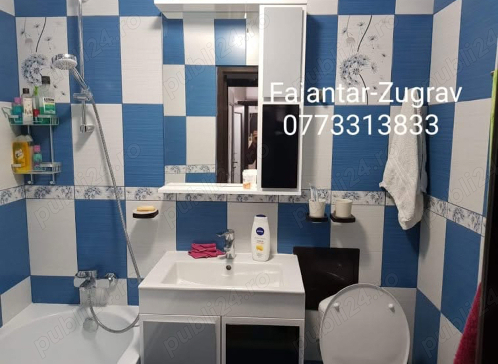 zugrav faiantar meserias