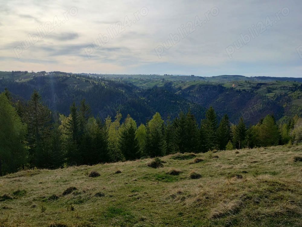 Teren de vânzare Mărișel 