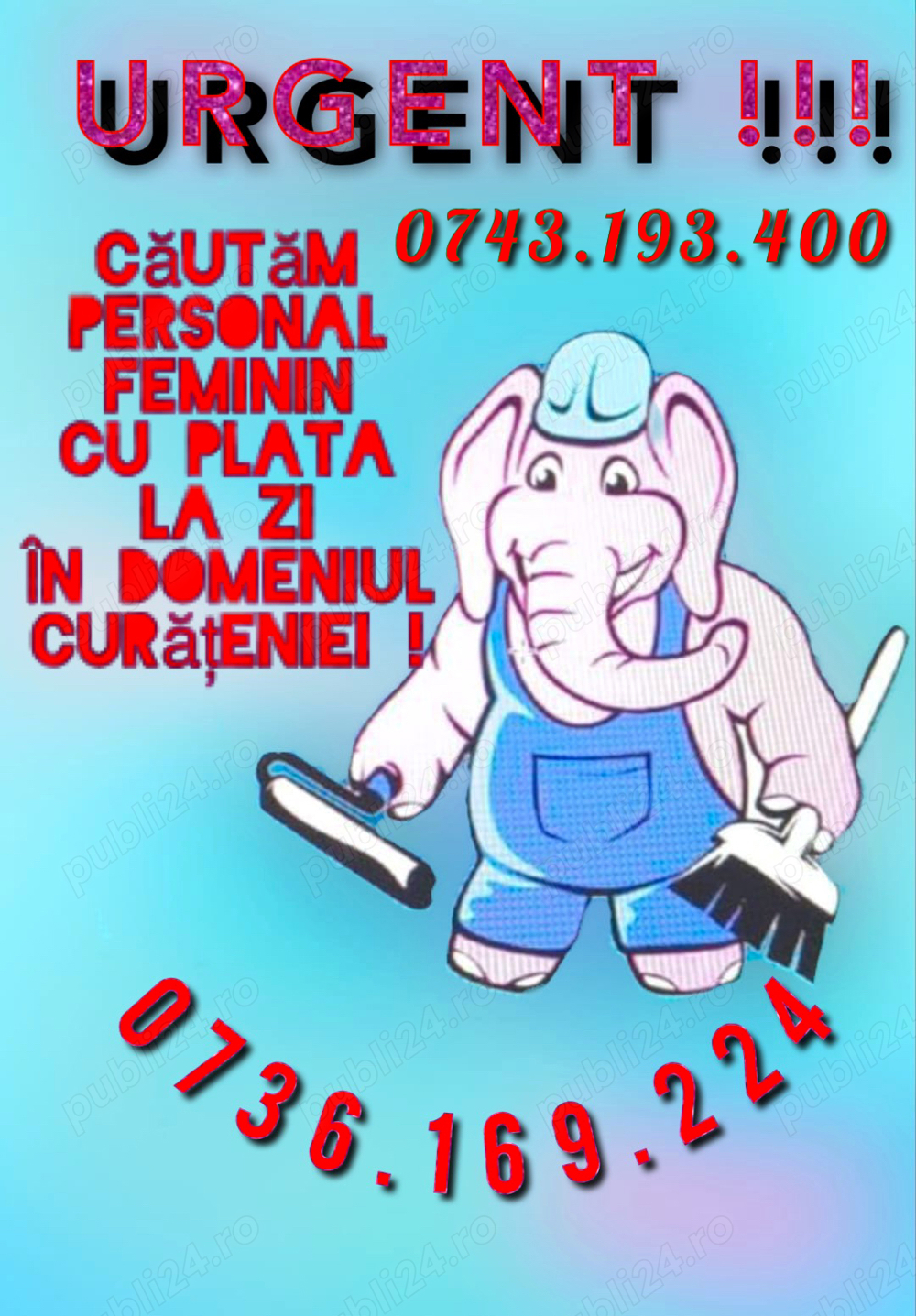 Curatenie scări de bloc