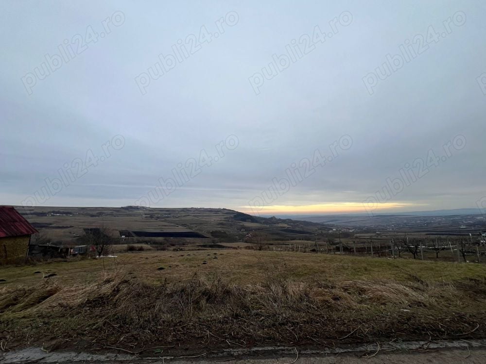 Teren intravilan 993 mp la 6 km de Auchan Iris, inspre Padureni