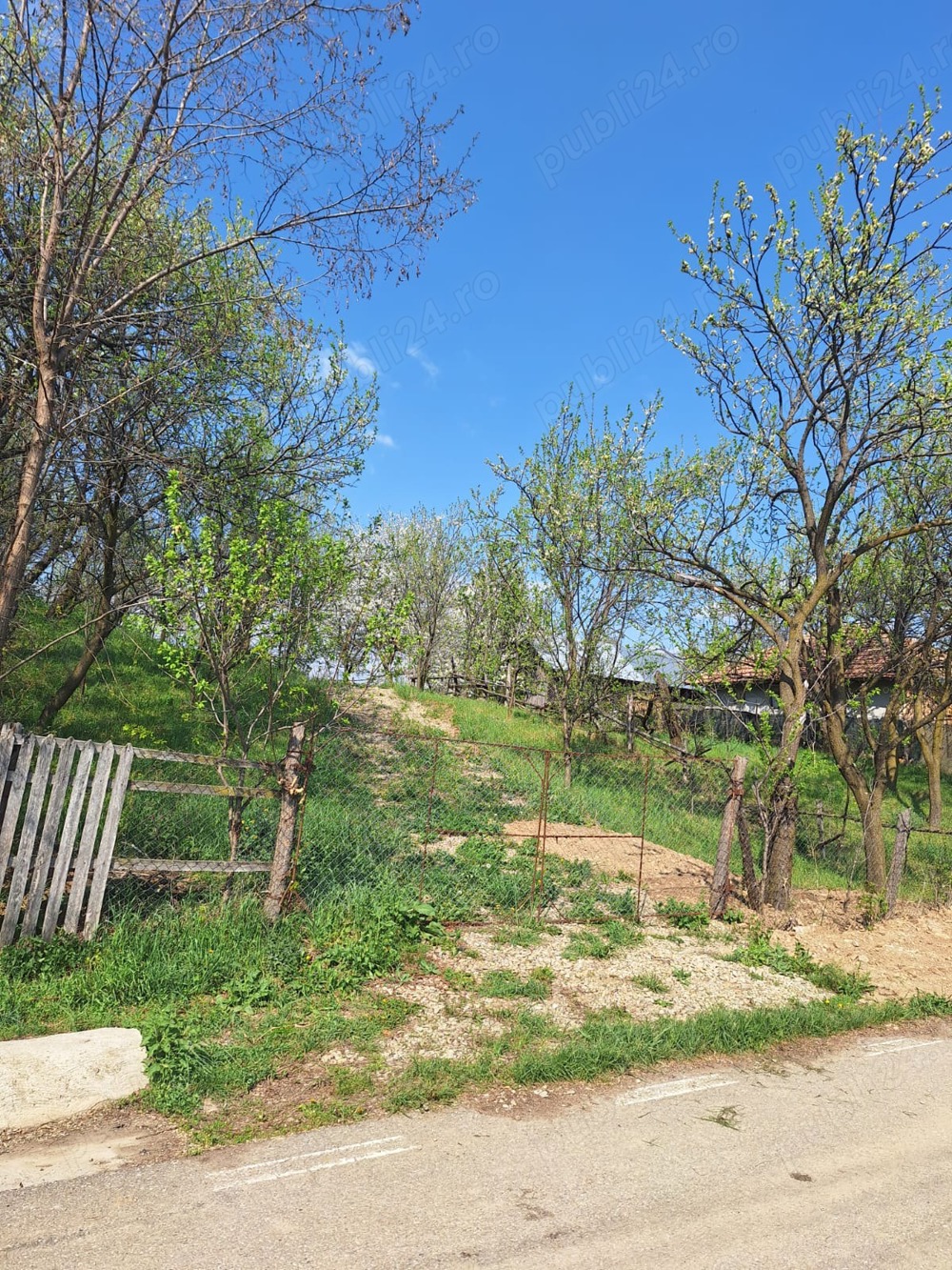 Teren de vânzare Schiulești, Prahova