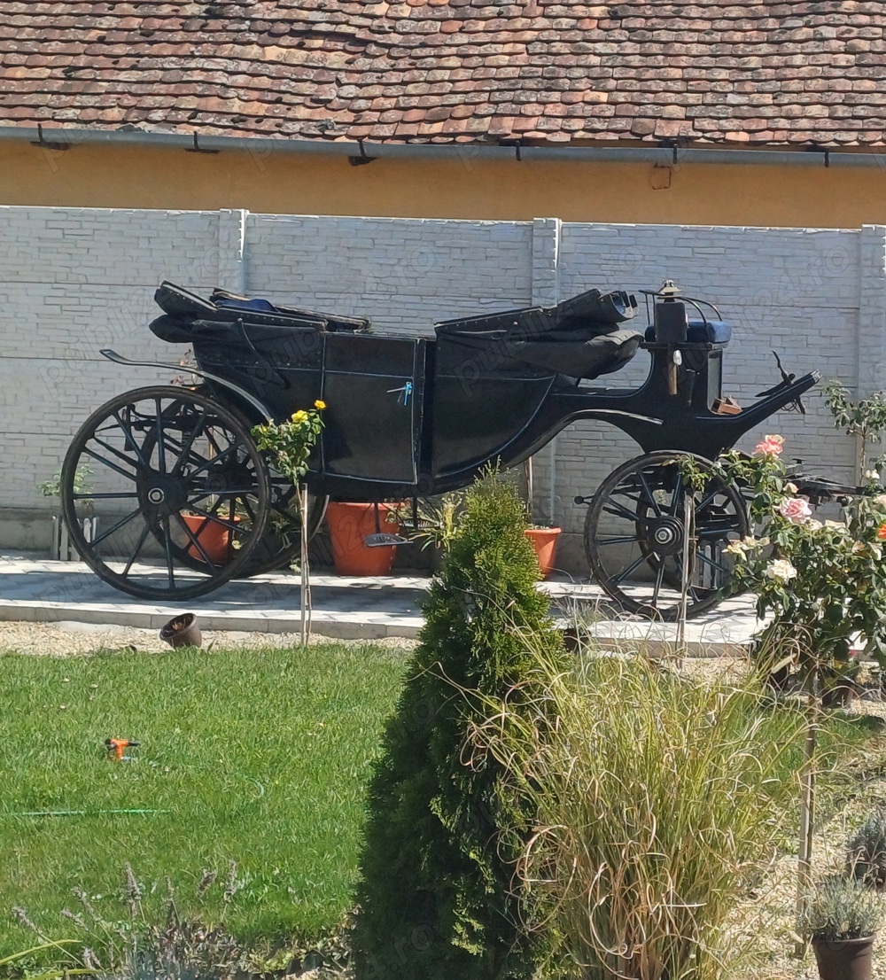 Trăsură de vânzare 