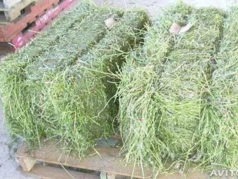 Vând baloții fan bună.