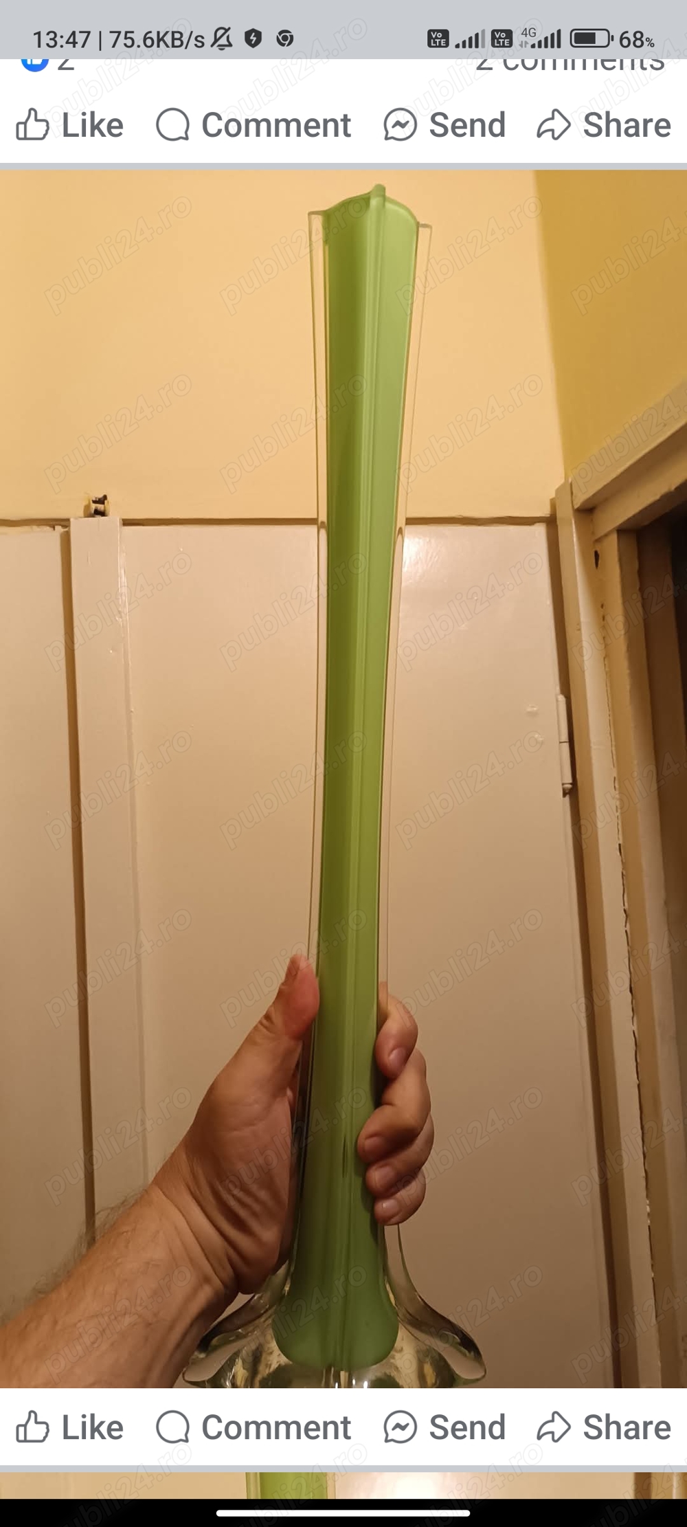 Vaza soliflora Stangen