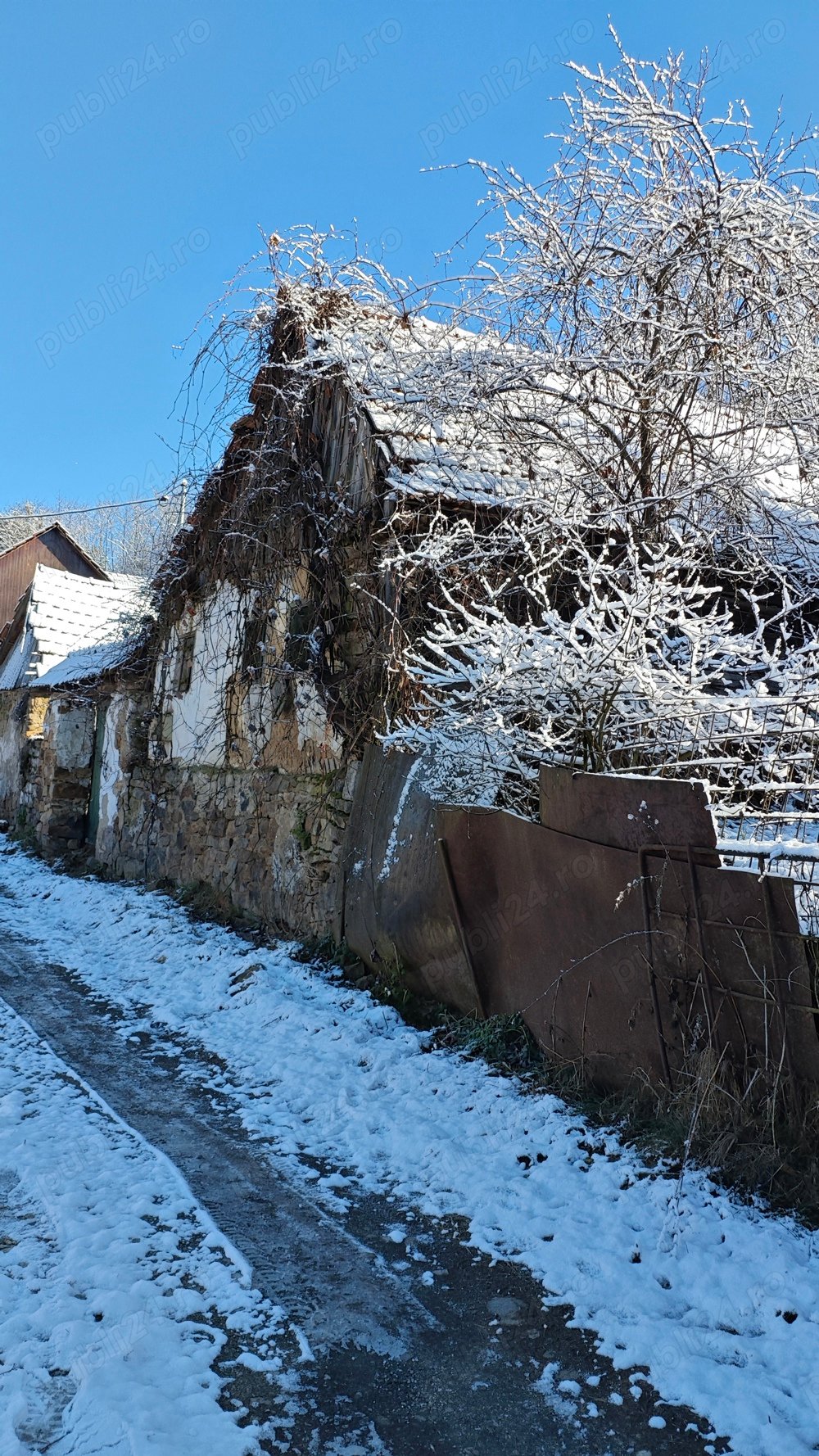 casa bătrânească 