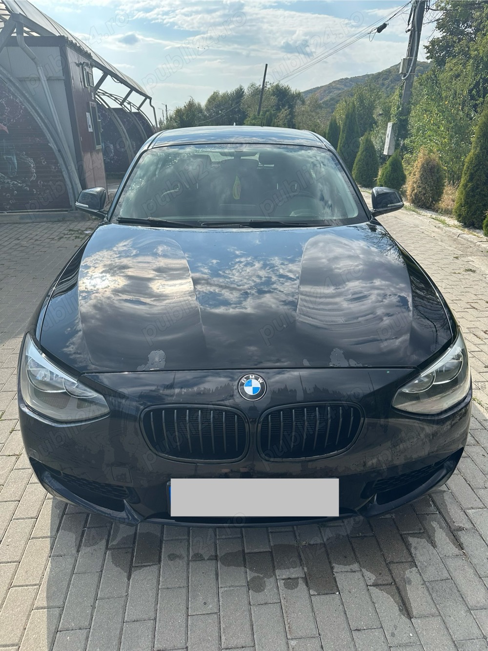 BMW F20 116i benzină