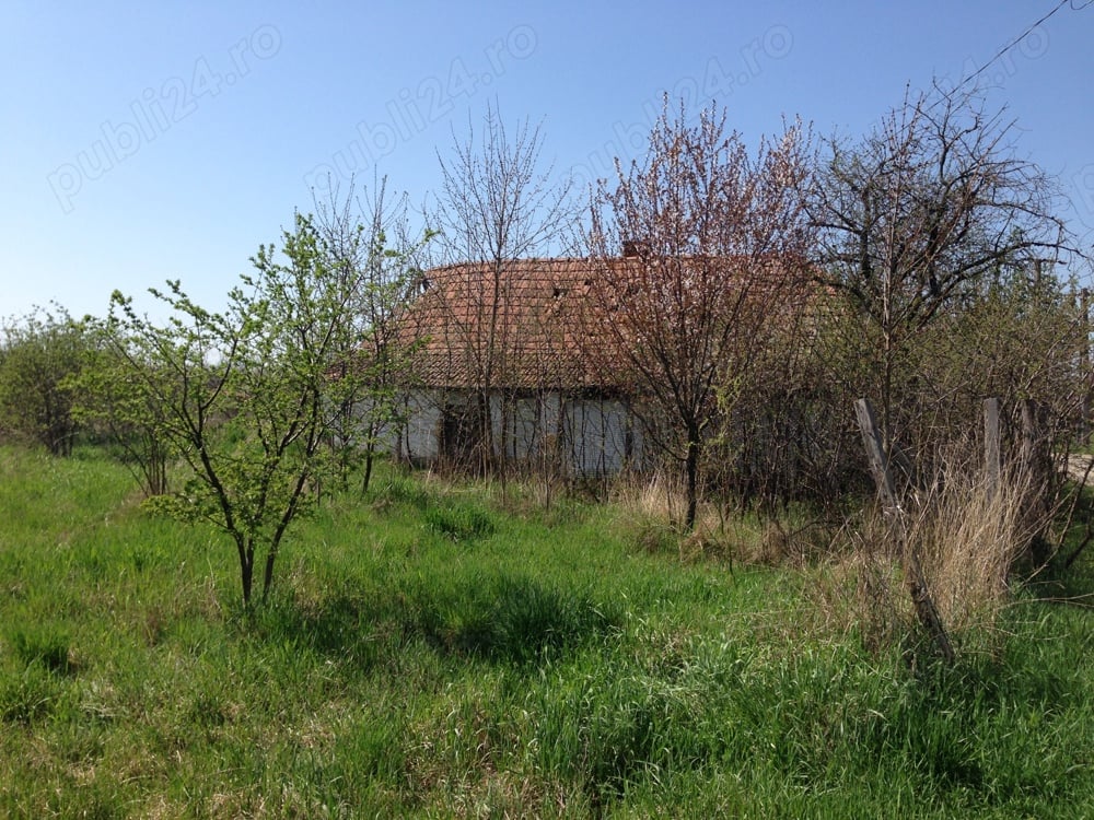 Teren 1360 mp cu casa demolabila Ungaria, Biharugra 40 km din Oradea