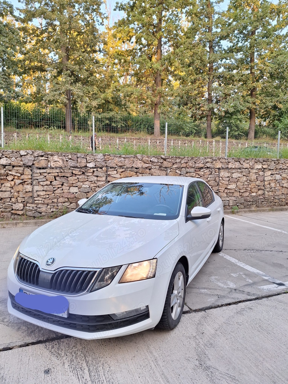 Skoda Octavia 3-1.6 TDI, km reali