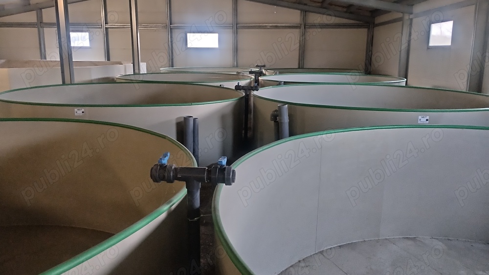 BAZINE circulare din polipropilena alimentara noi