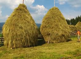 Vand fan bine conservat