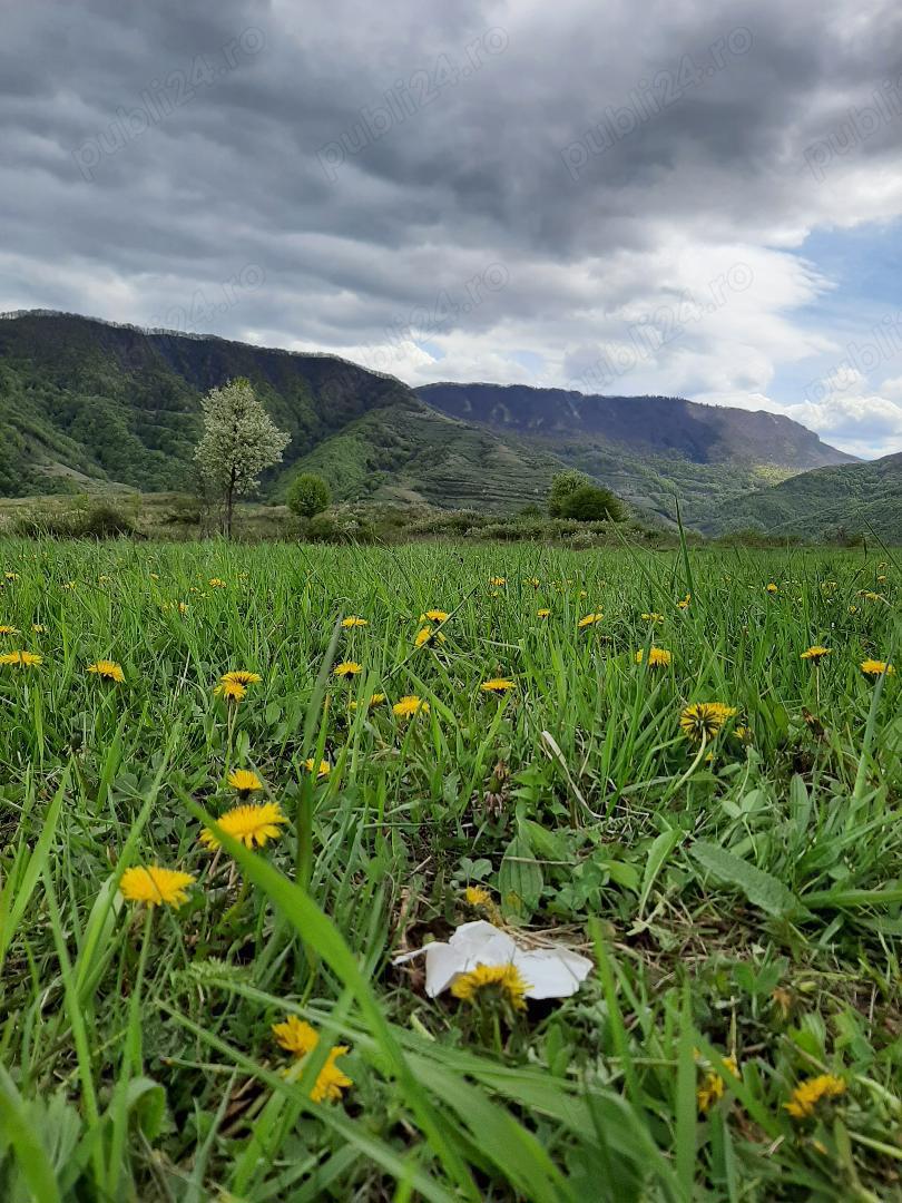 Vand teren zona de munte in Cacova Ierii si Ocolisel Cluj