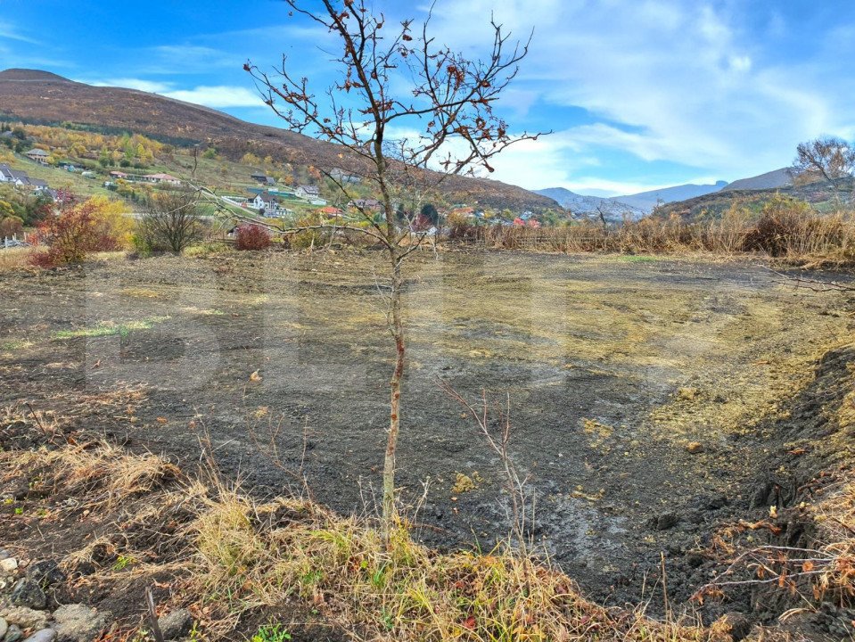 Teren intravilan, 770 mp, Valea Ghinzii