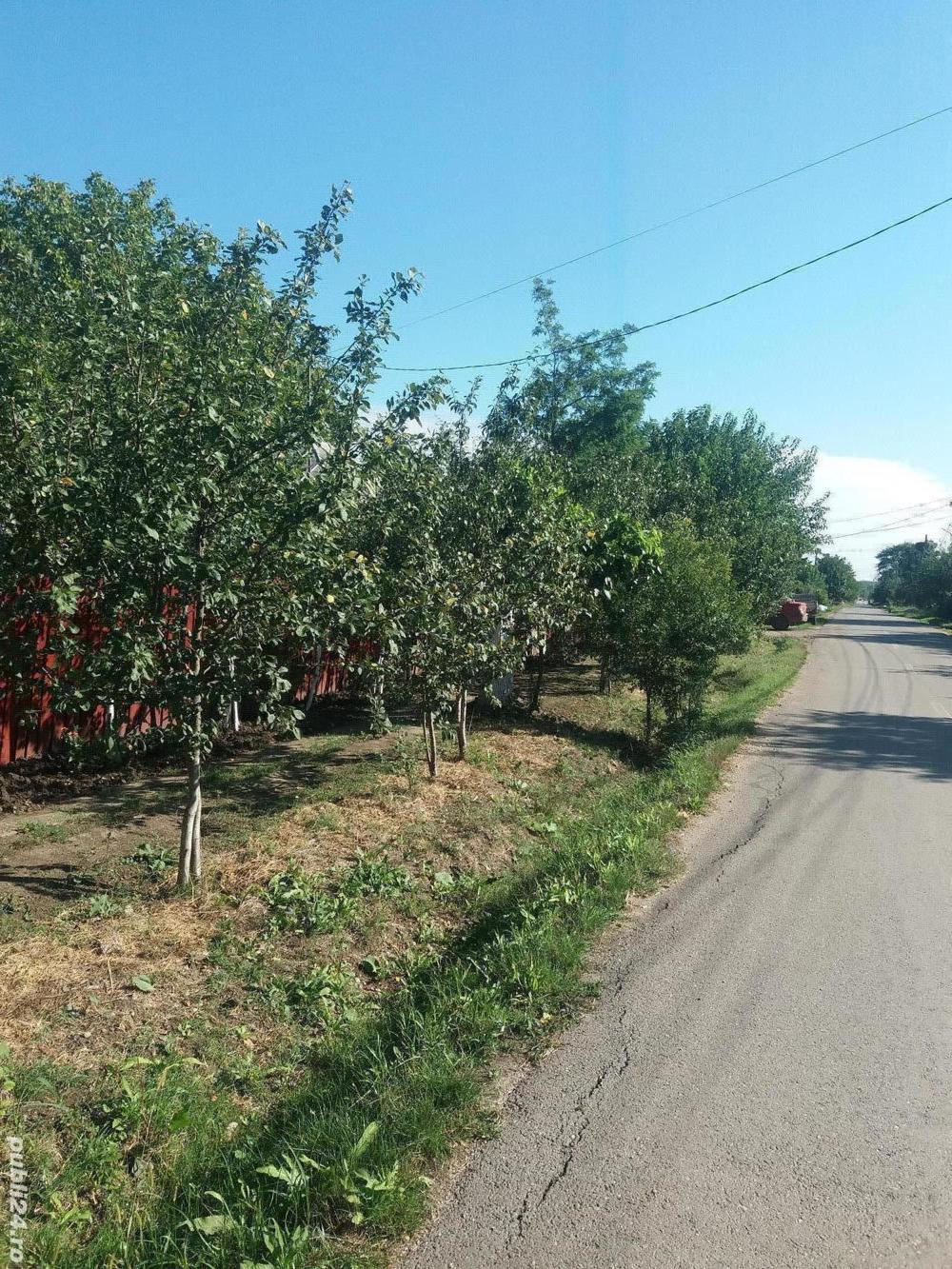 Vind casă locuibila 