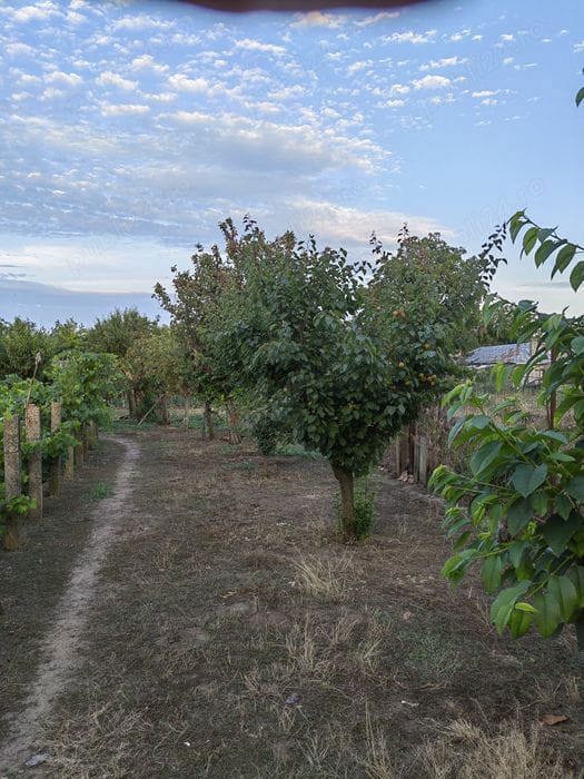 Casa de vânzare în Scortaru Vechi