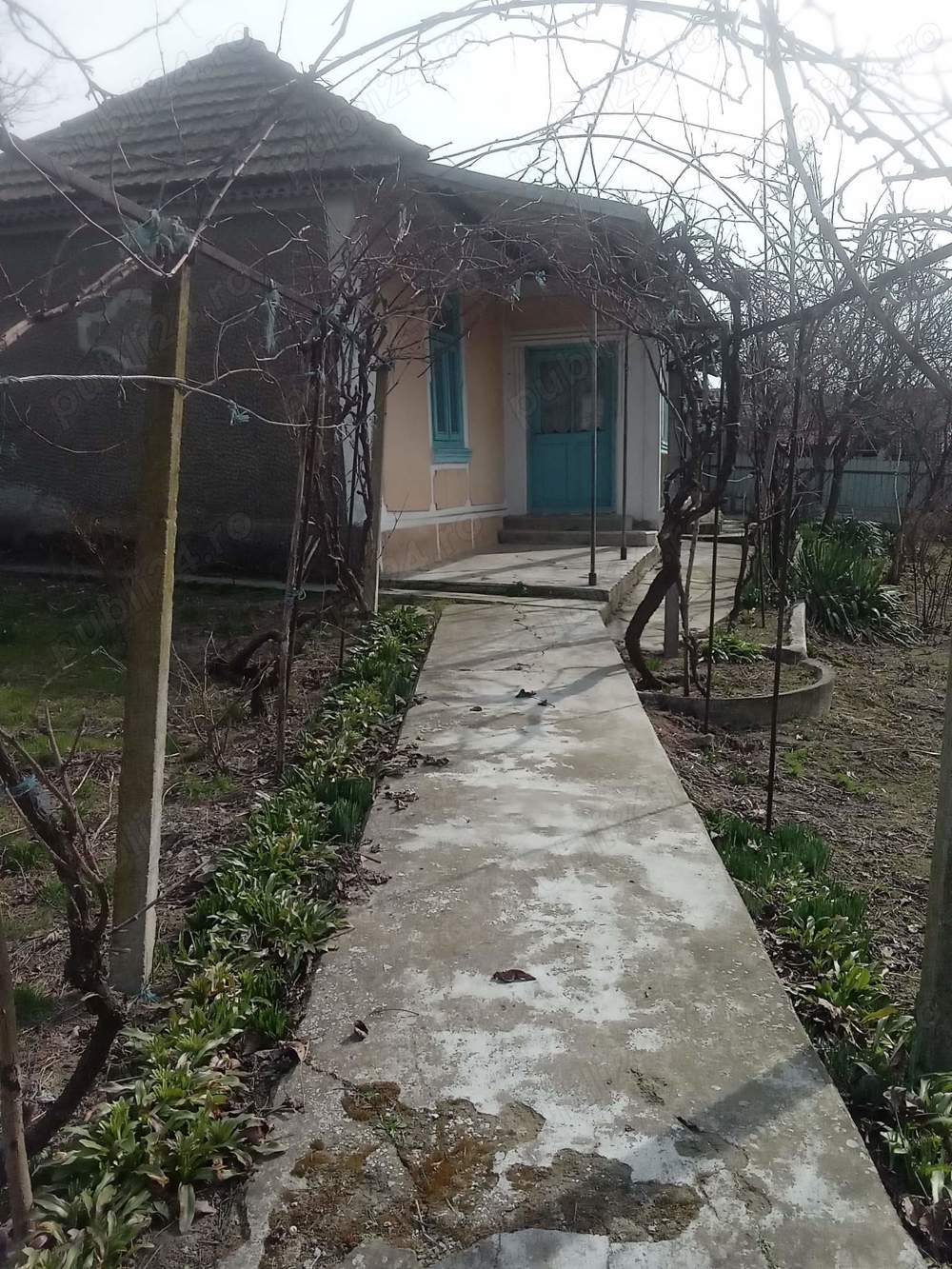 casa si 2000mp sat pe malul Dunarii jud Tulcea