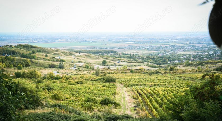 Teren Intravilan și Casă Bătrânească, Seciu, Boldești-Scăeni, Prahova