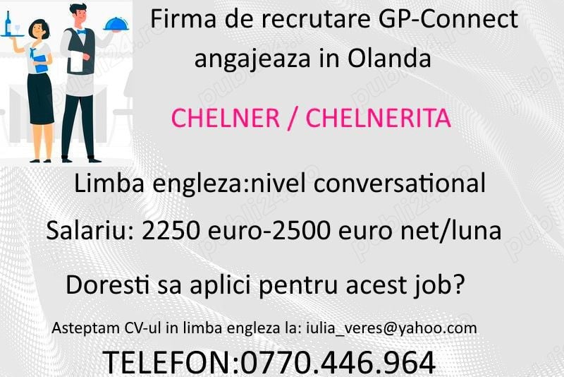 Angajam chelneri in Olanda