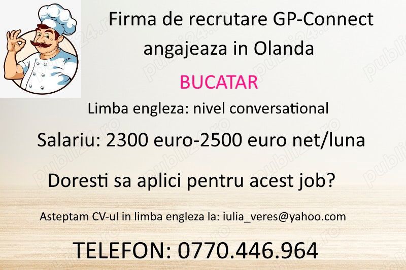 Angajam bucatari in Olanda