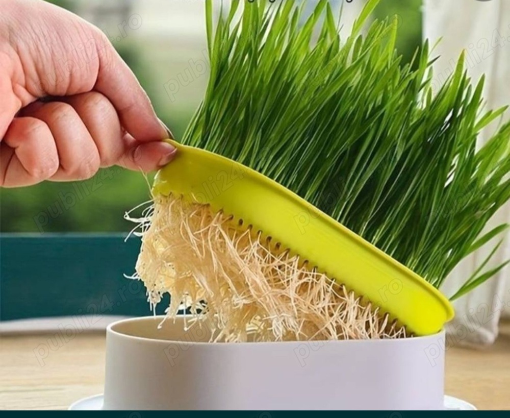 Diverse accesorii pisica Diverse accesorii pisica