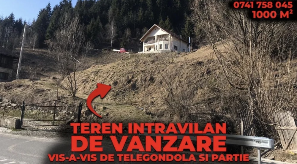 Vand teren 1000 M.P INTRAVILAN BORSA MARAMURES-zona turistica partia de ski