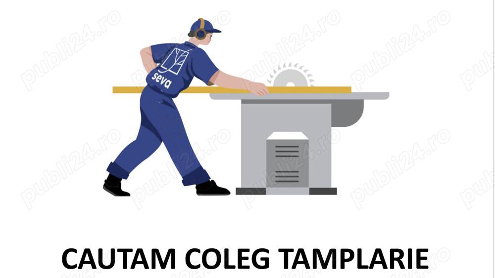 Angajăm ajutor tamplar sau tâmplar cu experiența