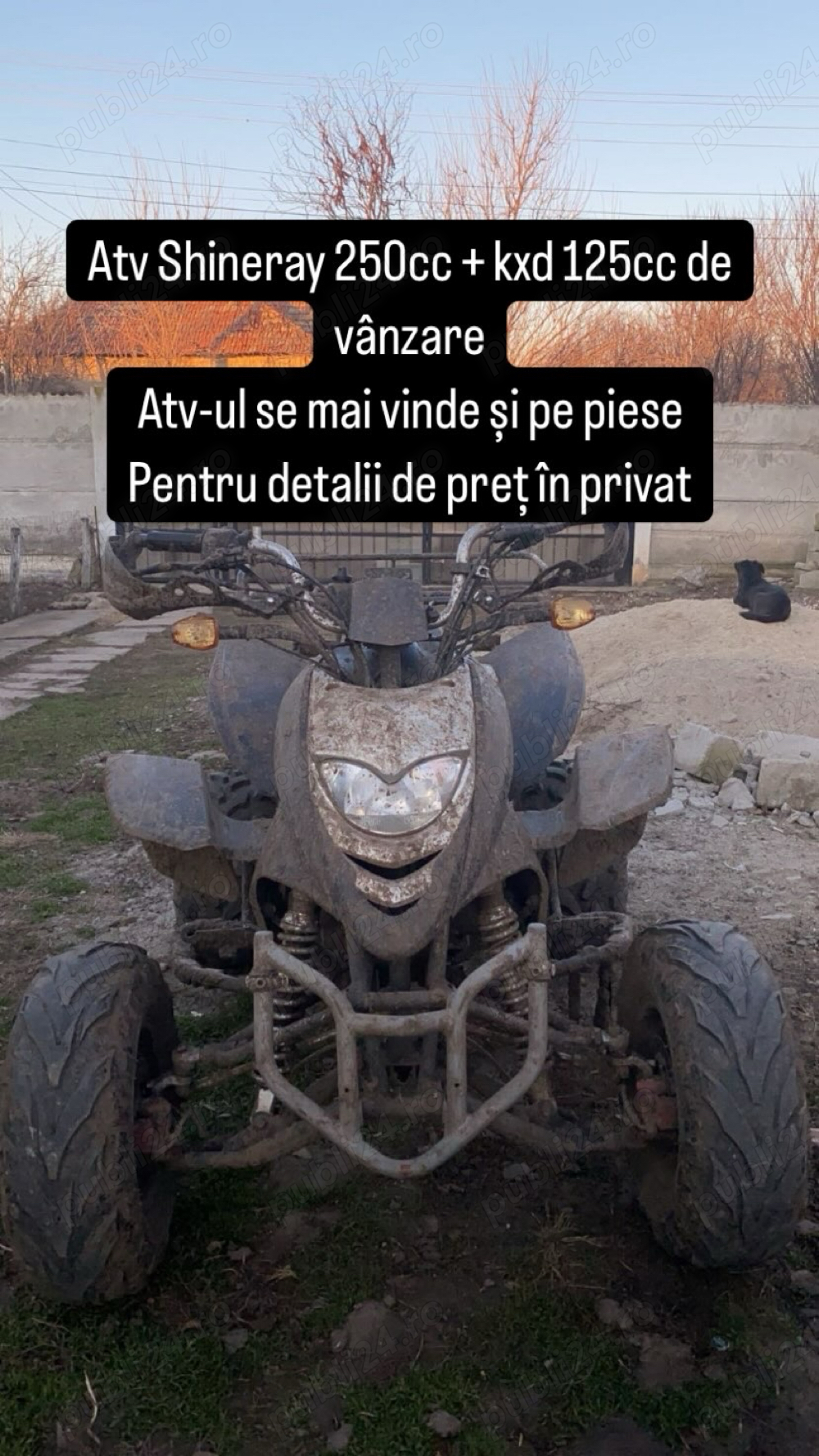 vând atv shineray 250cc si cros kxd 125cc 