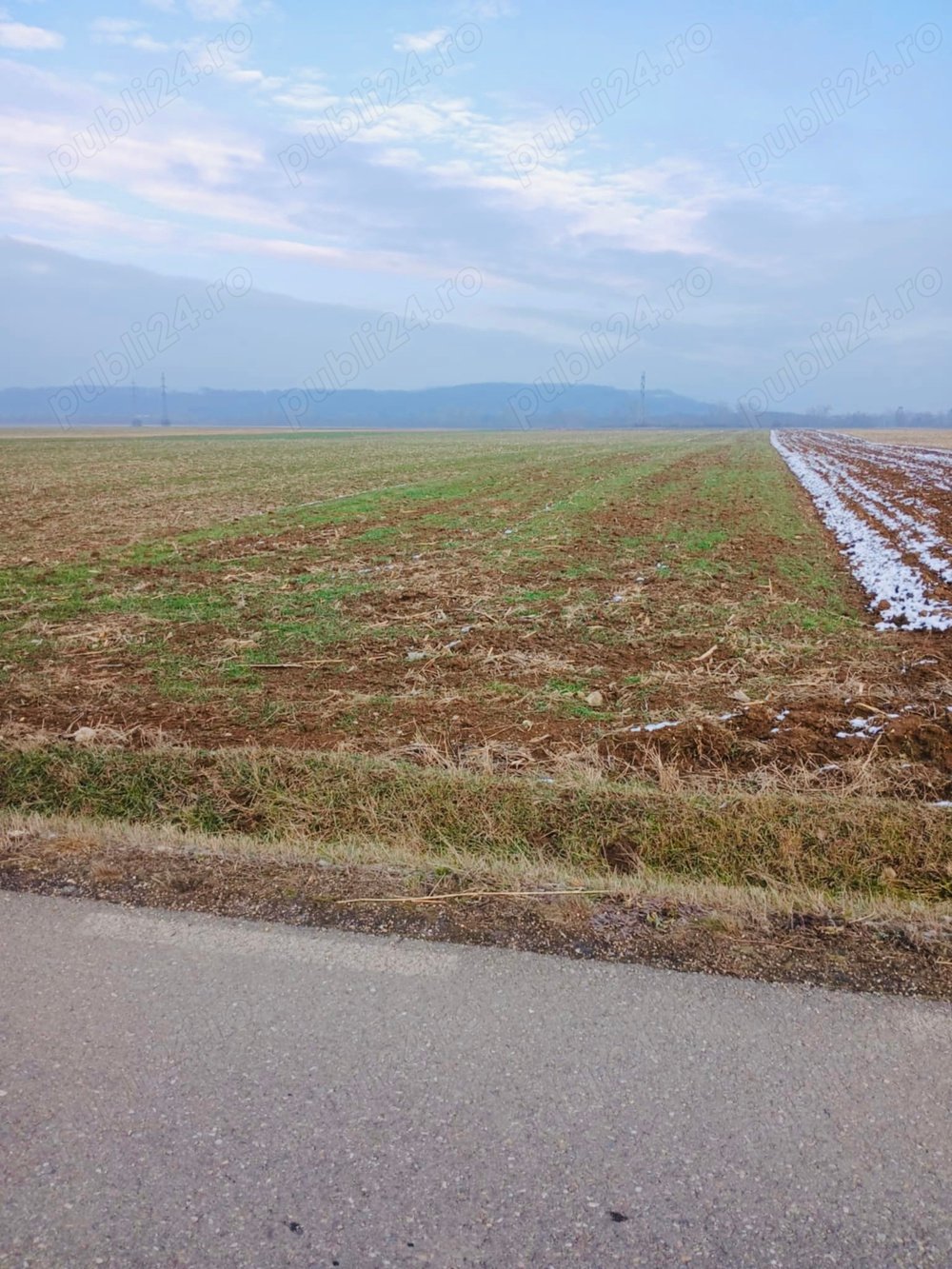 Vând 2 terenuri in Vadu Crișului