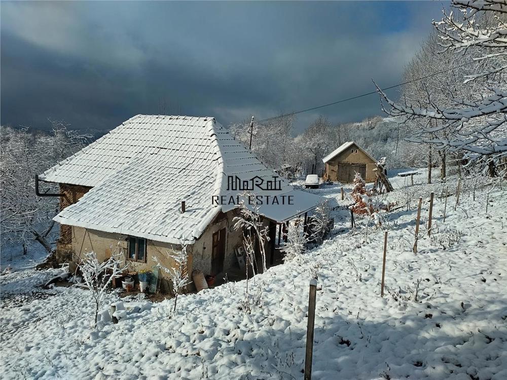 Casa si jumatate de hectar de teren la munte