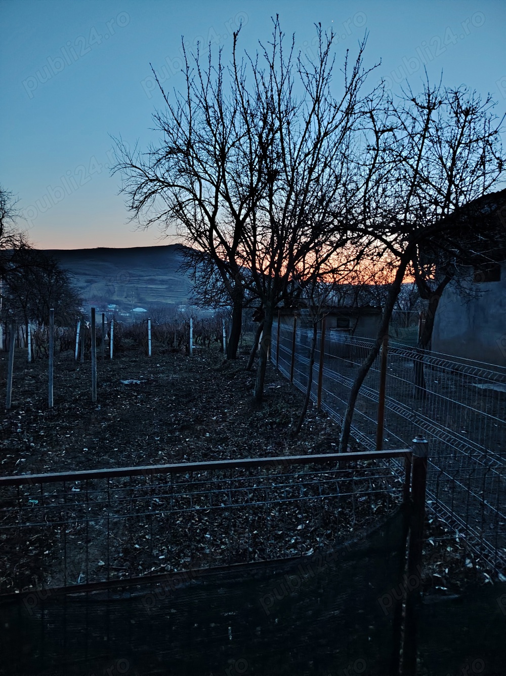 Vând teren intravilan in comuna Scobinți. Județul Iași.