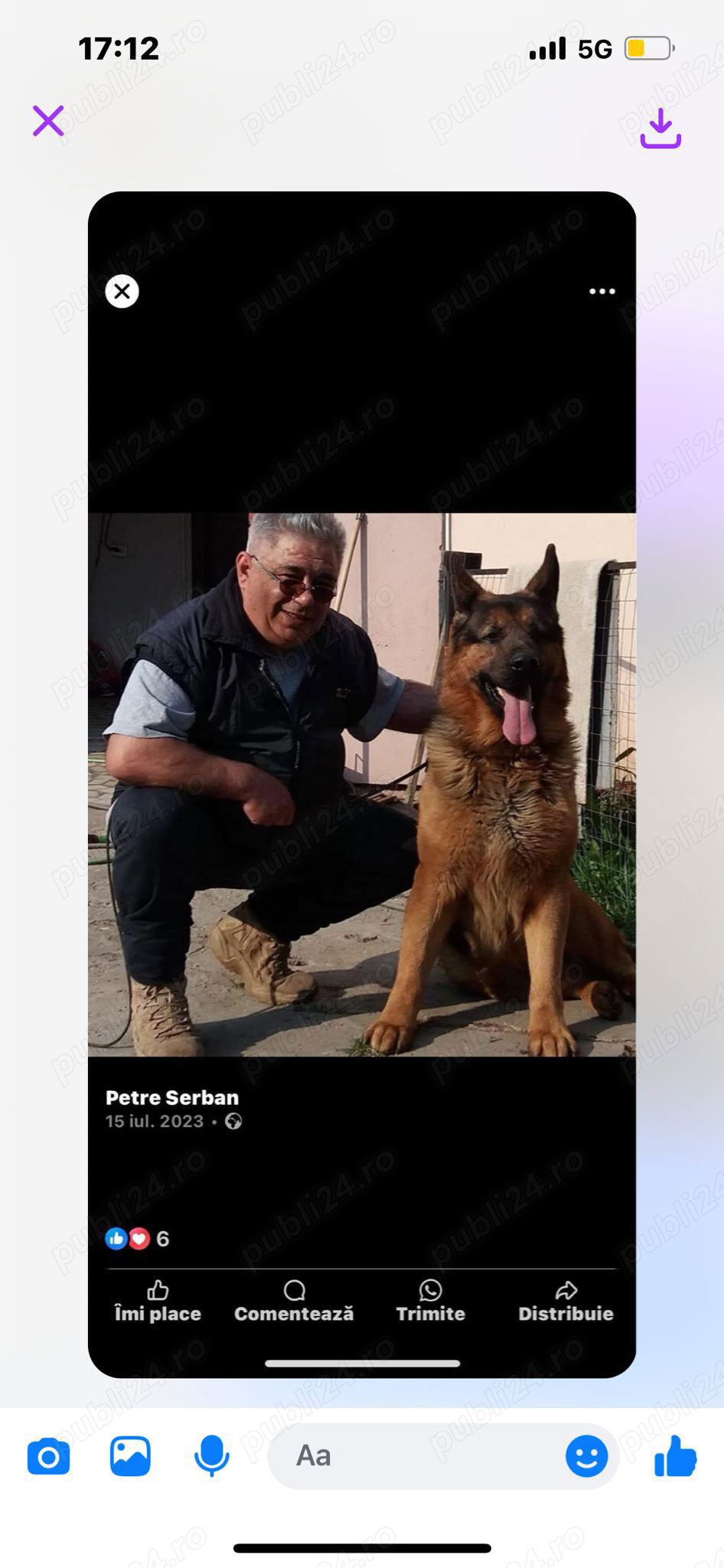 dresaj de caini  dresaj de caini