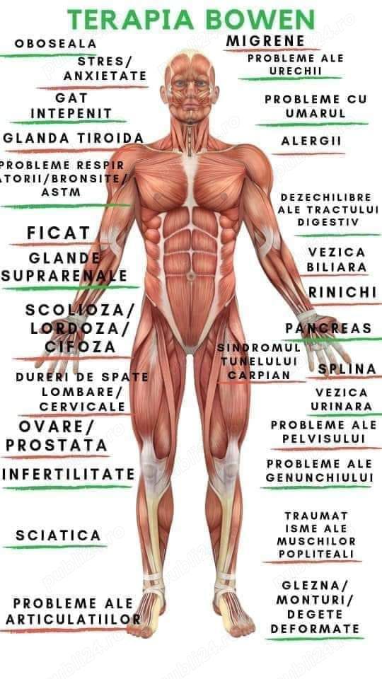Ofer sedinte de Terapie Bowen in Cluj Napoca, cu pretul 100 lei sedinta
