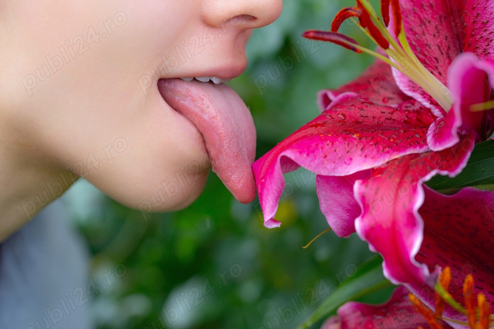 Midnight Club Massage - Deplasari la Hotel