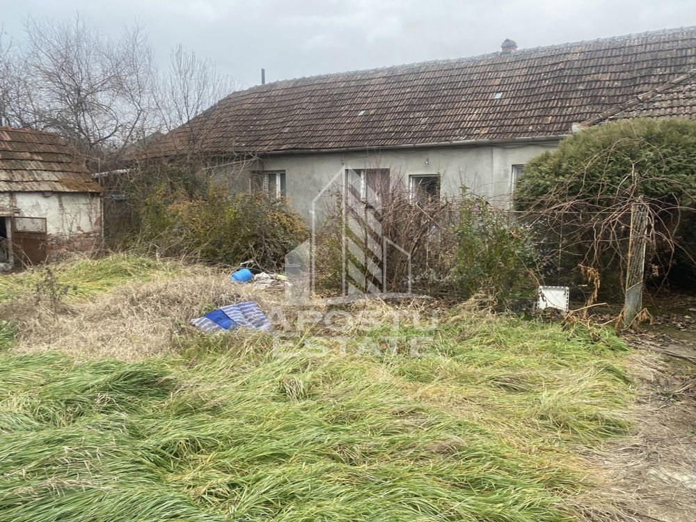 Casa individuala in Ghiroda cu 1509 mp teren