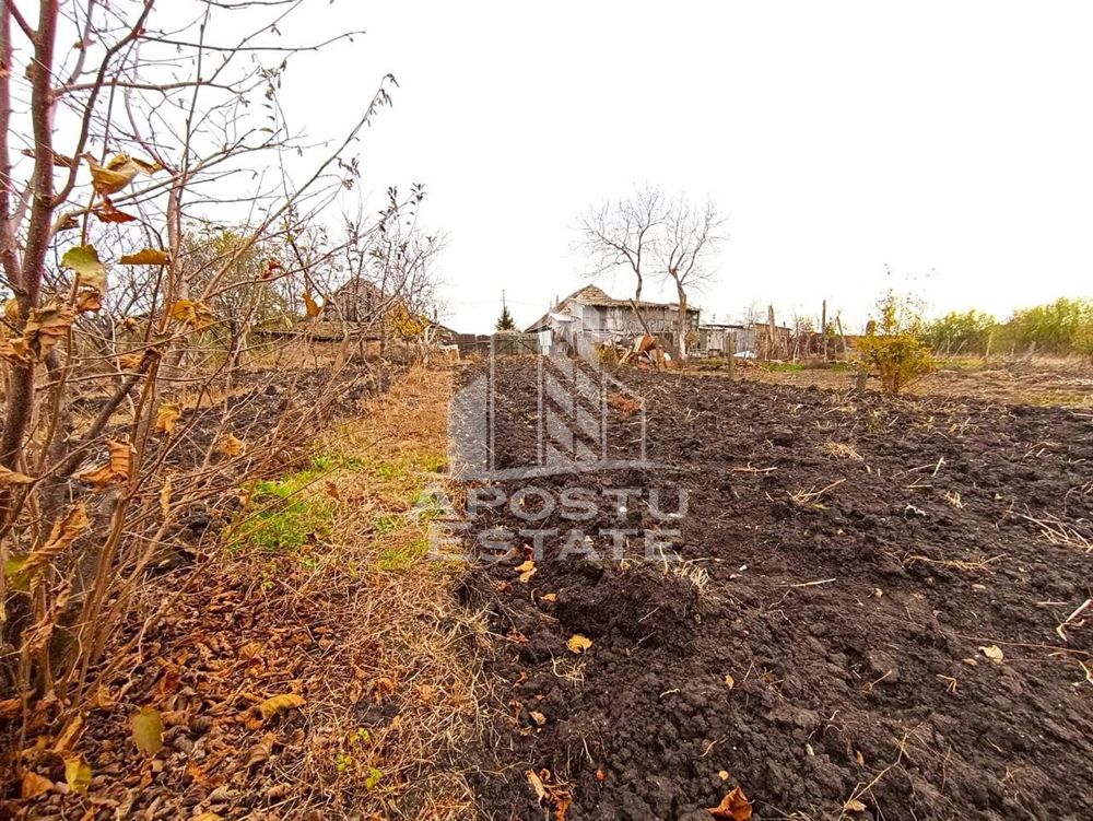 Teren 1000mp Cu Utilitati Dudesti Noi