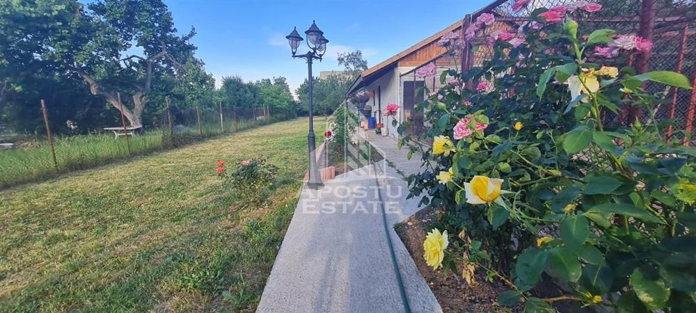 Casa cu teren de 2000 mp,  Timisoara