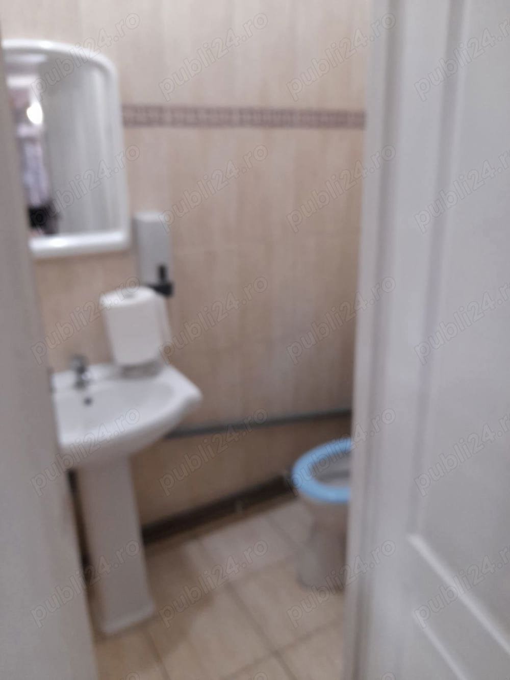 spațiu generosului Timișoara 