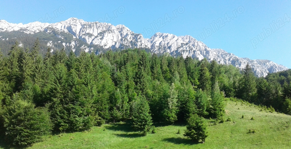 Vand teren Plaiu Foii Zărnesti 